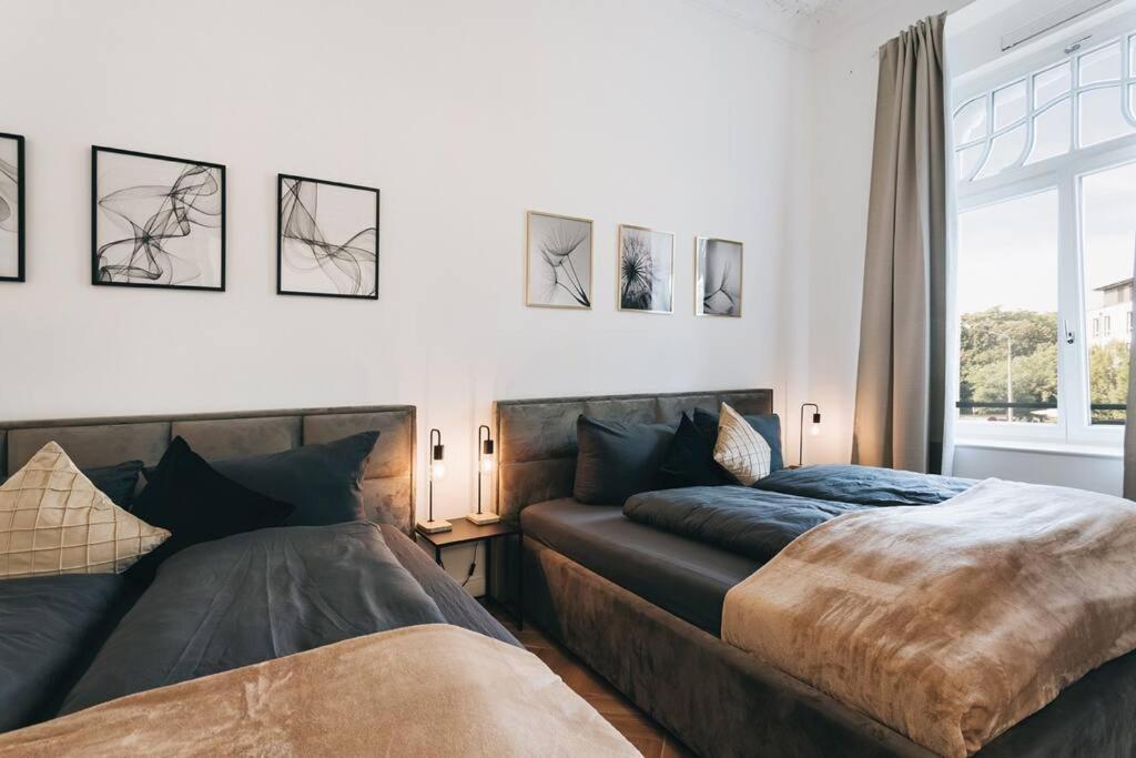 Tip! Design-Apartment In Toplage 75Qm In Szeneviertel Дрезден Экстерьер фото
